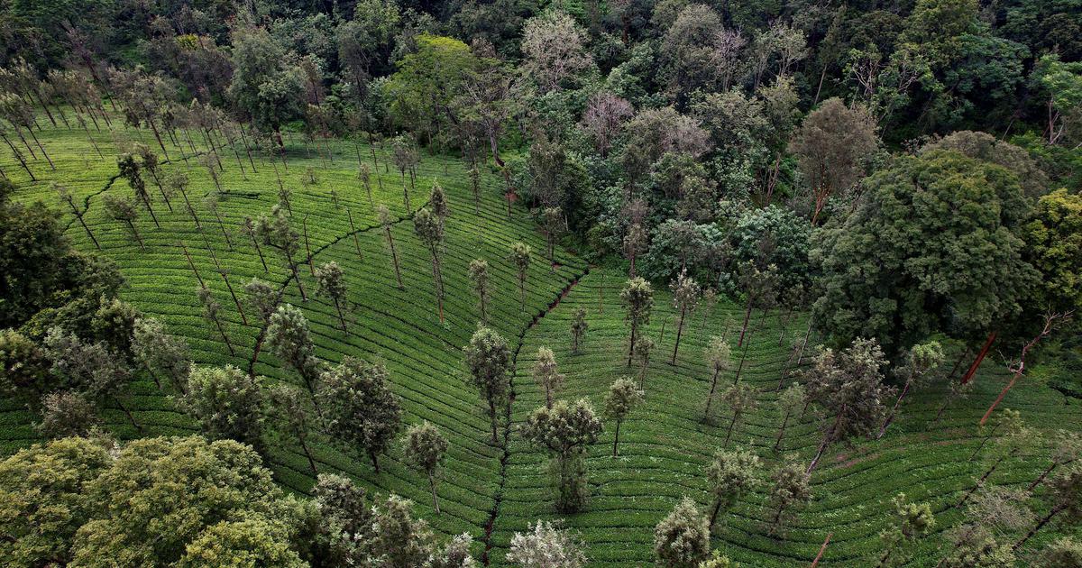 Nature Conservation